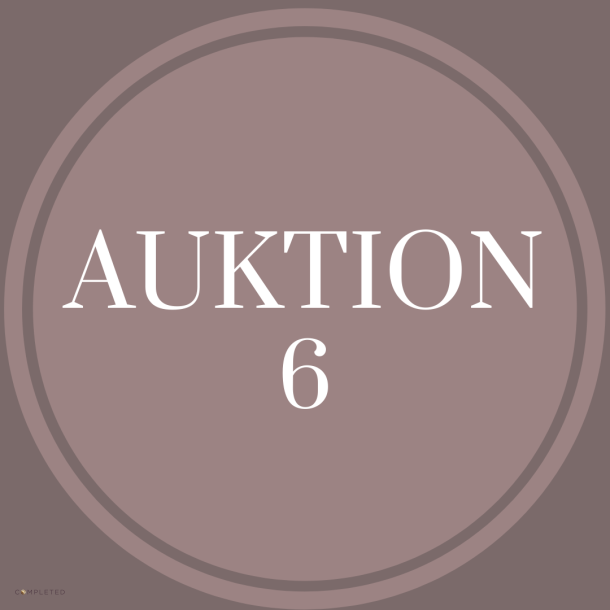 Auktion 6 Karina U